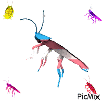cockroaches animovaný GIF