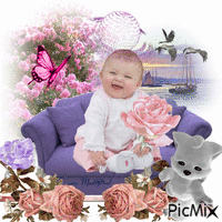 portrait d'un bébé animirani GIF