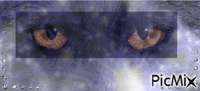 Le fantôme de croc blanc - Darmowy animowany GIF