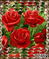 roses red - Zdarma animovaný GIF