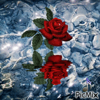 cvetojka - Animovaný GIF zadarmo