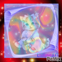 Petit chat d'amour - GIF animé gratuit