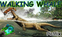 Walking Whale - GIF animado grátis