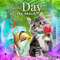 Summer cat(s) - GIF animasi gratis