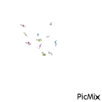 GISLENE DANTAS - Безплатен анимиран GIF
