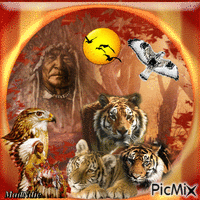 amérindiens et tigres animovaný GIF