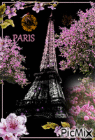 Paris  en fleur - Бесплатный анимированный гифка