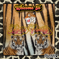 Tigers - Besplatni animirani GIF