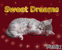 Sweet Dreams - GIF animado gratis