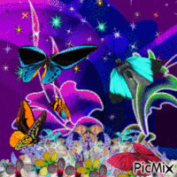 Papillons GIF animé