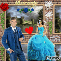 Mariage en bleu GIF animasi