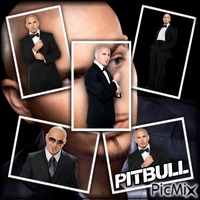 Pitbull-RM-04-01-23 - 免费PNG