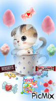 DOG IN SPARKLING CUP, JAR OF CANDY MOVING, CANDY WITH SPARKLES. HERSHEY AN MOUNDS BAR.COTTON CANDY FLOATING. animovaný GIF