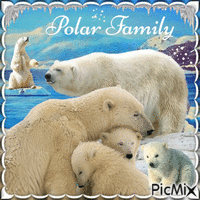 Polar Family - GIF animé gratuit