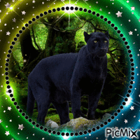 Panther - GIF animasi gratis