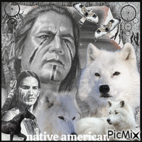 Native American With Wolves