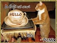 Café du chat GIF animado