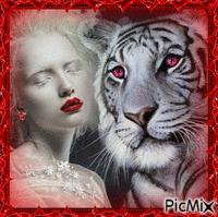 A dama e o tigre - GIF animé gratuit