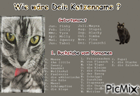 catname - Zdarma animovaný GIF