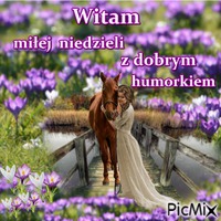 witam - 無料のアニメーション GIF