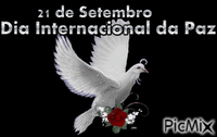 Mensagem do Dia Internacional da Paz - GIF animado gratis