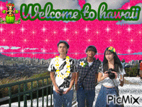 welcome to hawaii animovaný GIF