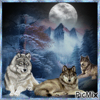 Lune et loups.