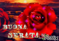 Rosa incantata - Zdarma animovaný GIF