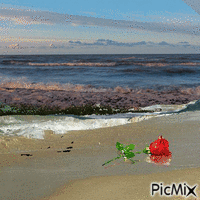 mary rosa - GIF animate gratis