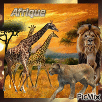 AFRIQUE анимиран GIF