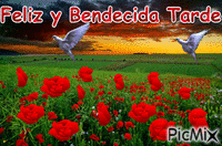Feliz y Bendecida Tarde - Бесплатный анимированный гифка