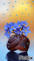 Caracol florido animovaný GIF