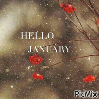 Hello January - GIF animé gratuit