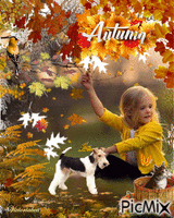 Autumn 动画 GIF