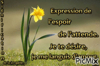 Signification de la fleur . - Бесплатный анимированный гифка