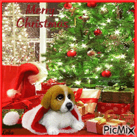 Merry Christmas. Dog, christmas tree - Gratis geanimeerde GIF