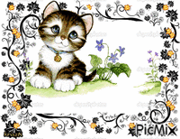 Sweet kitty - GIF animé gratuit