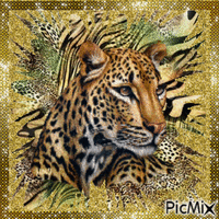 leopard GIF animata