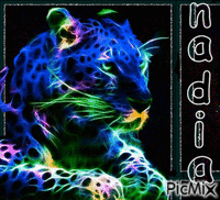 nadia - Δωρεάν κινούμενο GIF