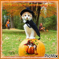 Herbstlichen Samstagsgruss / Autumn Saturday - 無料のアニメーション GIF