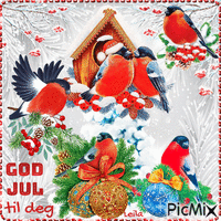Merry Christmas to you. Birds. Winter,