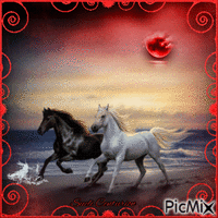 Cavalos - tons de preto, branco e vermelho