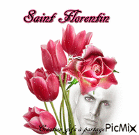 Saint Florentin 动画 GIF