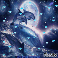 diaporama dauphins - Gratis animerad GIF