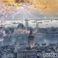 İstanbulda Bahar - GIF animasi gratis