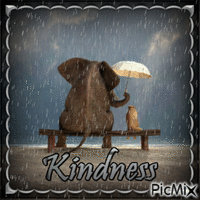 Kindness - Animovaný GIF zadarmo
