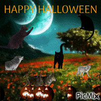 Happy Halloween Felps - GIF animado grátis