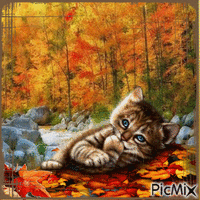 Herbst automne autumn анимиран GIF