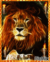 Lion - Gratis animeret GIF