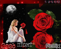Romantic Night! - GIF animé gratuit